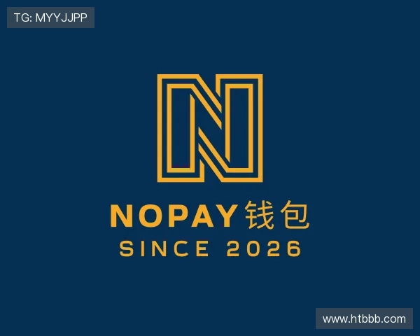 了解NOPAY钱包